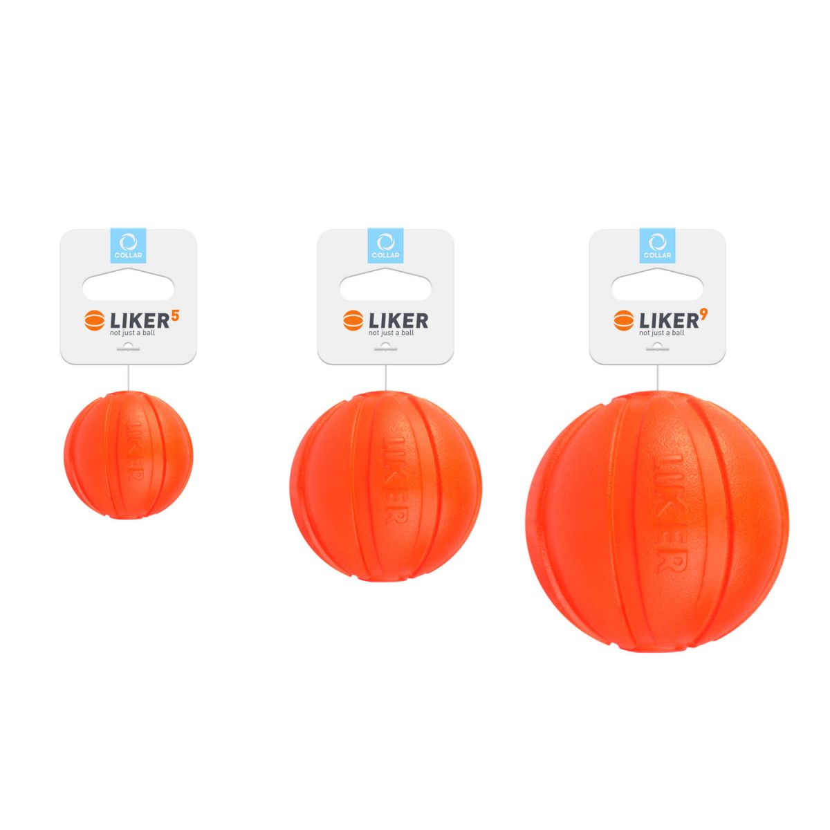 Liker 7 - žoga za pse majhnih in srednjih pasem - slika 9