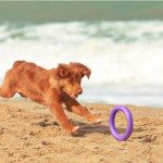 PULLER mini, ferplast igračai, 2 kom - fi 18 cm - slika 8