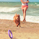 PULLER mini, ferplast igračai, 2 kom - fi 18 cm - slika 9