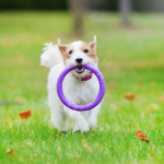 PULLER mini, ferplast igračai, 2 kom - fi 18 cm - slika 6