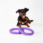 PULLER mini, ferplast igračai, 2 kom - fi 18 cm - slika 13