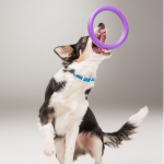 PULLER mini, ferplast igračai, 2 kom - fi 18 cm - slika 11