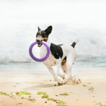 PULLER midi, ferplast igrača, 2 kom - fi 20 cm - slika 19