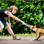 PULLER midi, ferplast igrača, 2 kom - fi 20 cm - slika 6