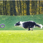 PULLER midi, ferplast igrača, 2 kom - fi 20 cm - slika 7