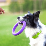 PULLER midi, ferplast igrača, 2 kom - fi 20 cm - slika 8