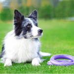 PULLER midi, ferplast igrača, 2 kom - fi 20 cm - slika 10