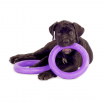 PULLER midi, ferplast igrača, 2 kom - fi 20 cm - slika 15