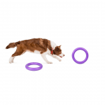 PULLER midi, ferplast igrača, 2 kom - fi 20 cm - slika 17