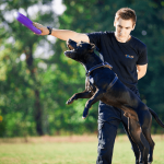 PULLER Standard, ferplast igrača 2 kom - fi 28 cm (11") - slika 2