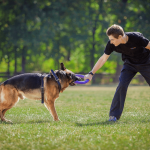 PULLER Standard, ferplast igrača 2 kom - fi 28 cm (11") - slika 4