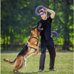 PULLER Standard, ferplast igrača 2 kom - fi 28 cm (11") - slika 5