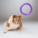 PULLER Standard, ferplast igrača 2 kom - fi 28 cm (11") - slika 7