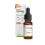 Dolvit Cannabis Oil 10 ml