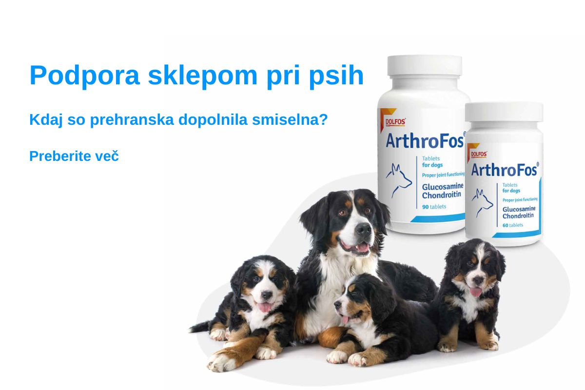 Prehranska dopolnila DOLFOS za sklepe pri psih